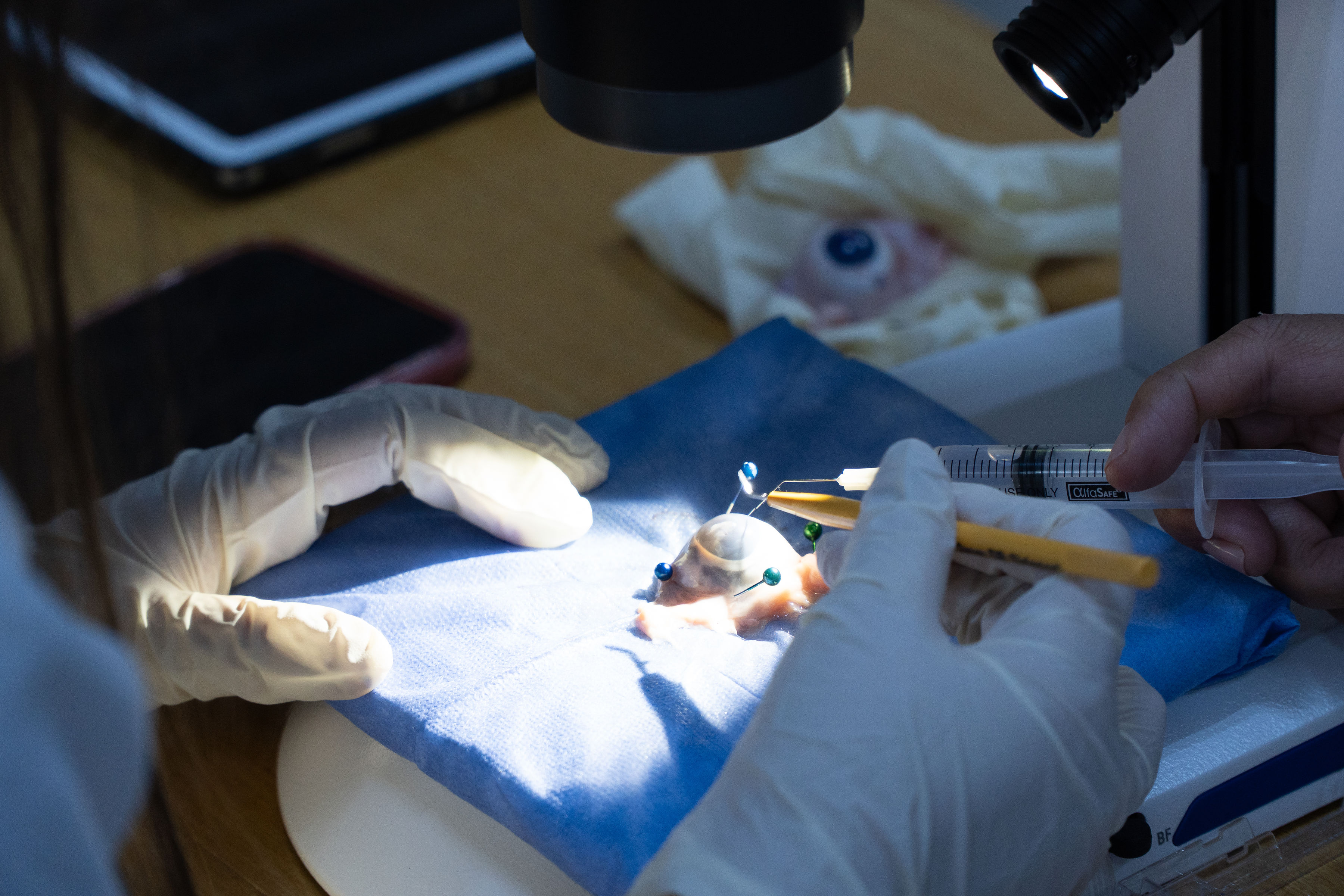 Imagen de Oftalmología 7